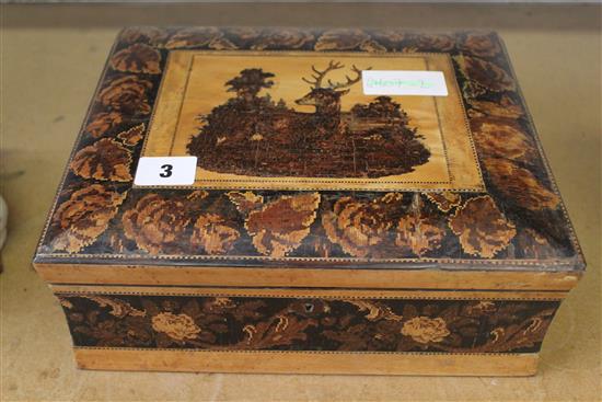 Tunbridge Ware birds eye maple box with seated stag panel, by Hollamby